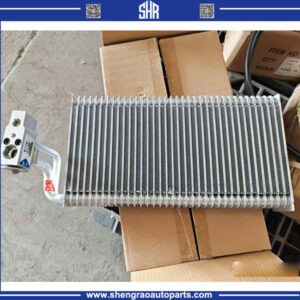 HOWO -AC Evaporator WG1642820007