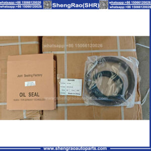 190x220x30 Iron Oil Seal for Heavy Duty Truck Chassis & Axle