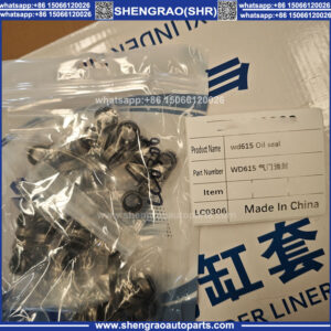 Valve Stem Oil Seal VG1500070099 for WD615 HOWO Shacman FAW Heavy Truck Engine