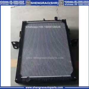 Radiator Assembly-YZ972553001101/1 for Sinotruk HOWO SITRAK